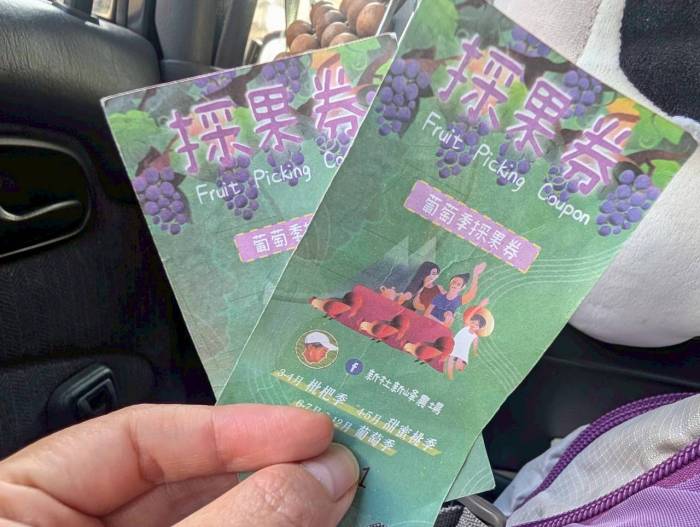 台中新峰農場採葡萄